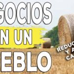 Negocios rentables en pueblos