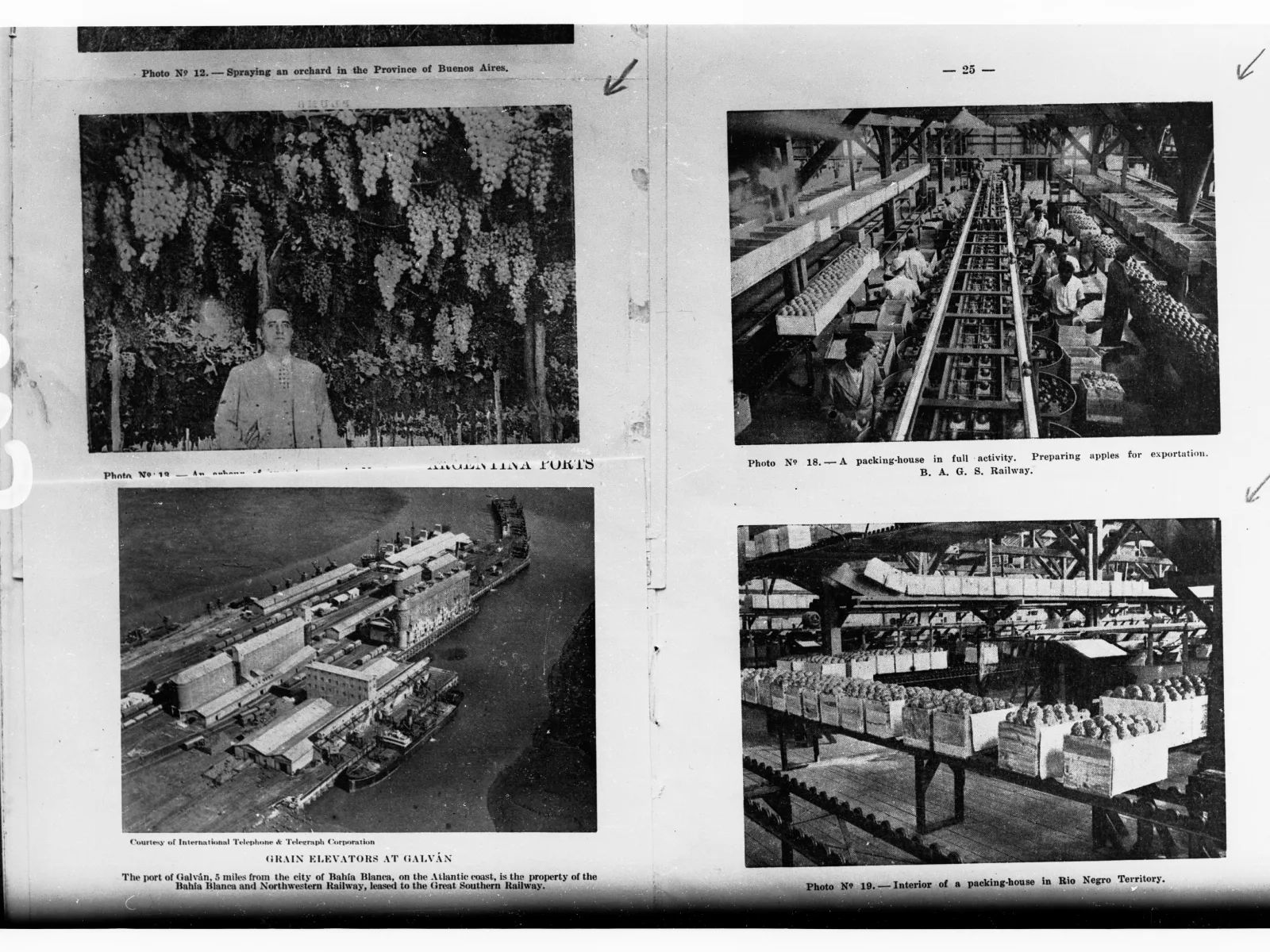 Four on one neg. / Argentina, not New Zealand. (G Brooks) / Microfiche incorrectly titled "New Zealand Fruit Industry". Title changed to reflect G Brooks' notes.