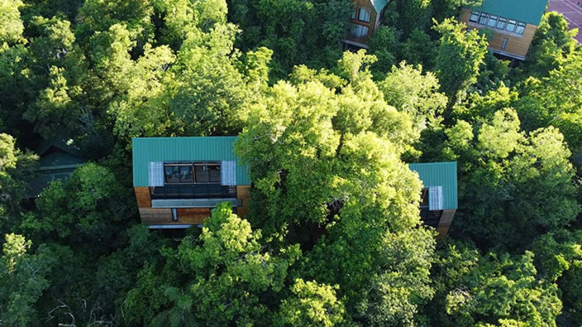 Entre Árboles: un hotel boutique en la copa de la selva misionera